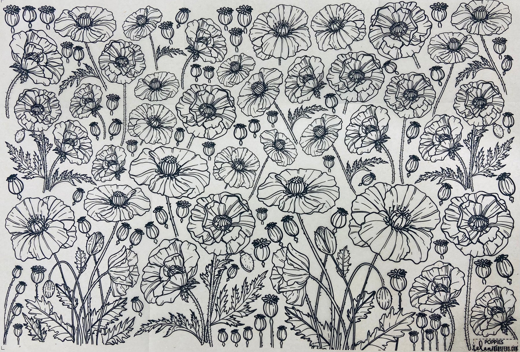 Poppies - Underglaze Transfer Sheet