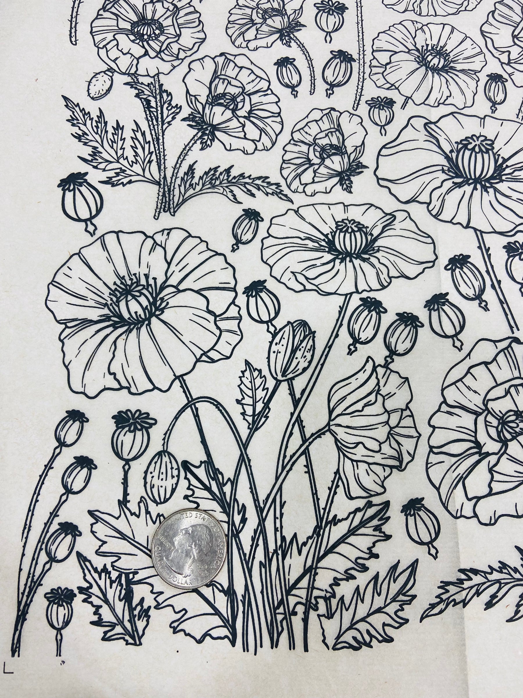 Poppies - Underglaze Transfer Sheet