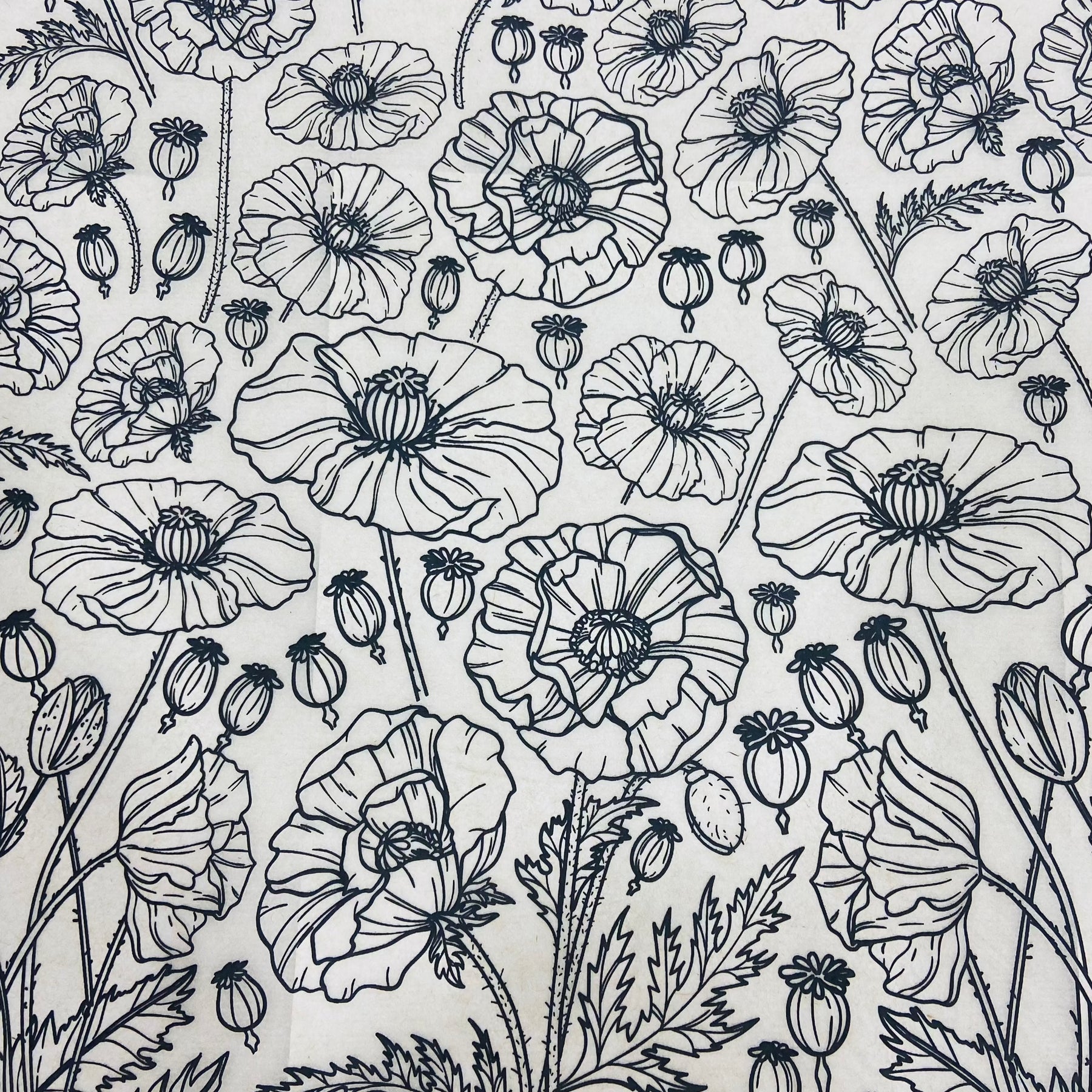 Poppies - Underglaze Transfer Sheet