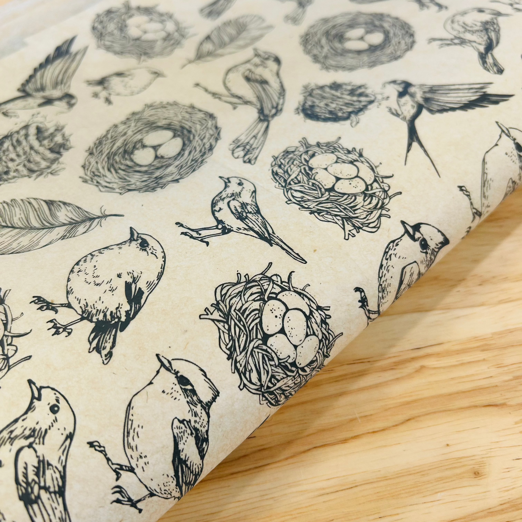 Nests - Underglaze Transfer Sheet