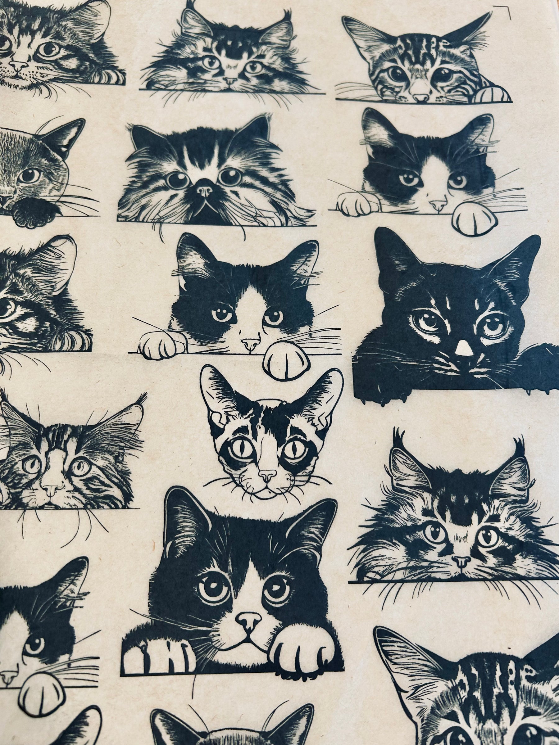 Zany Cats - Underglaze Transfer Sheet