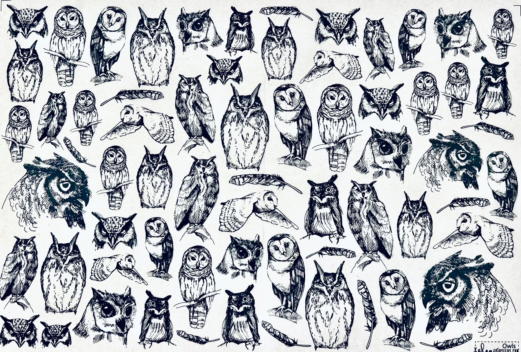 Owls - Underglaze Transfer Sheet