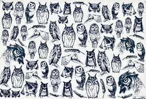 Owls - Underglaze Transfer Sheet