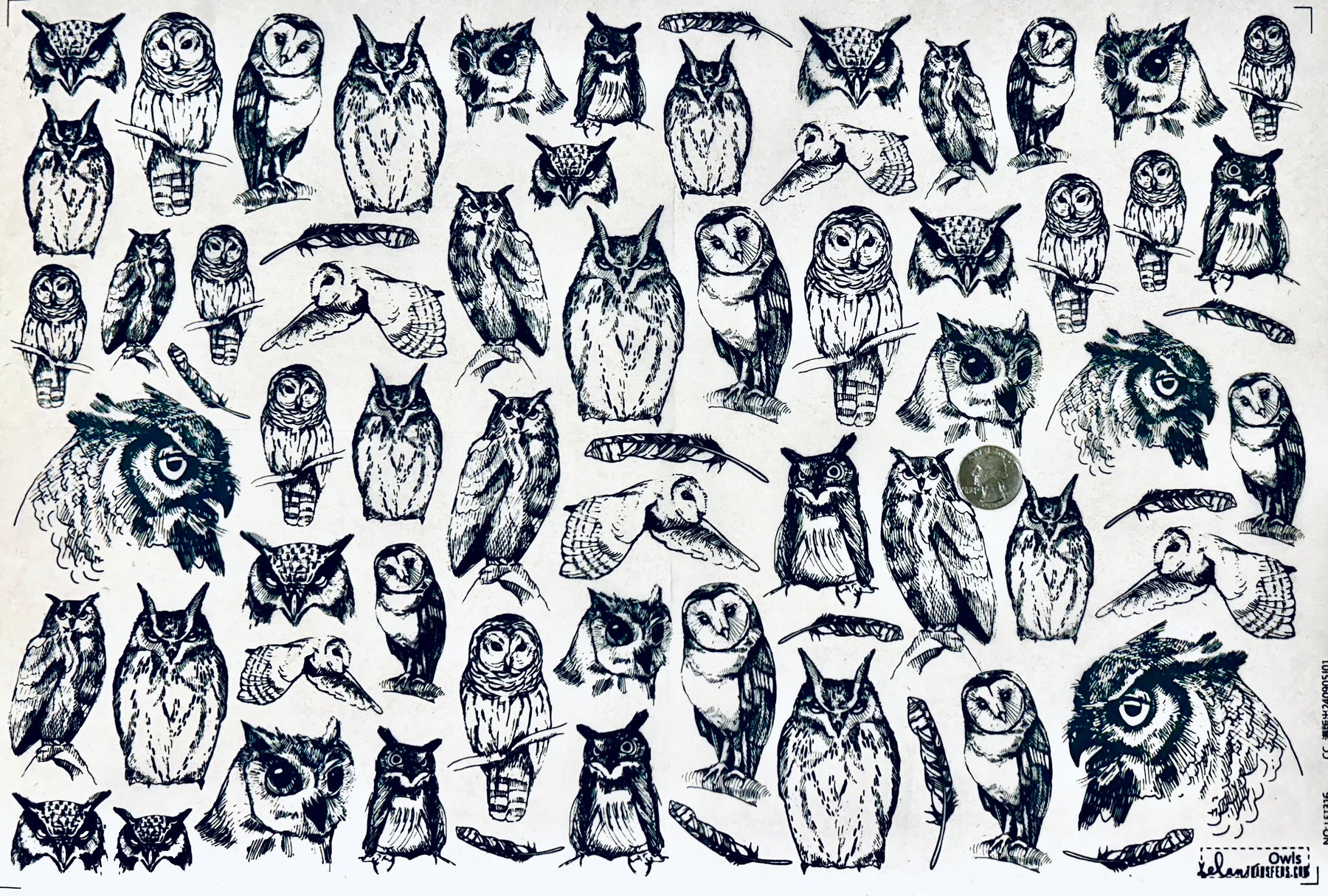 Owls - Underglaze Transfer Sheet