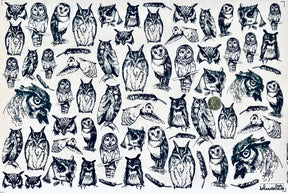 Owls - Underglaze Transfer Sheet