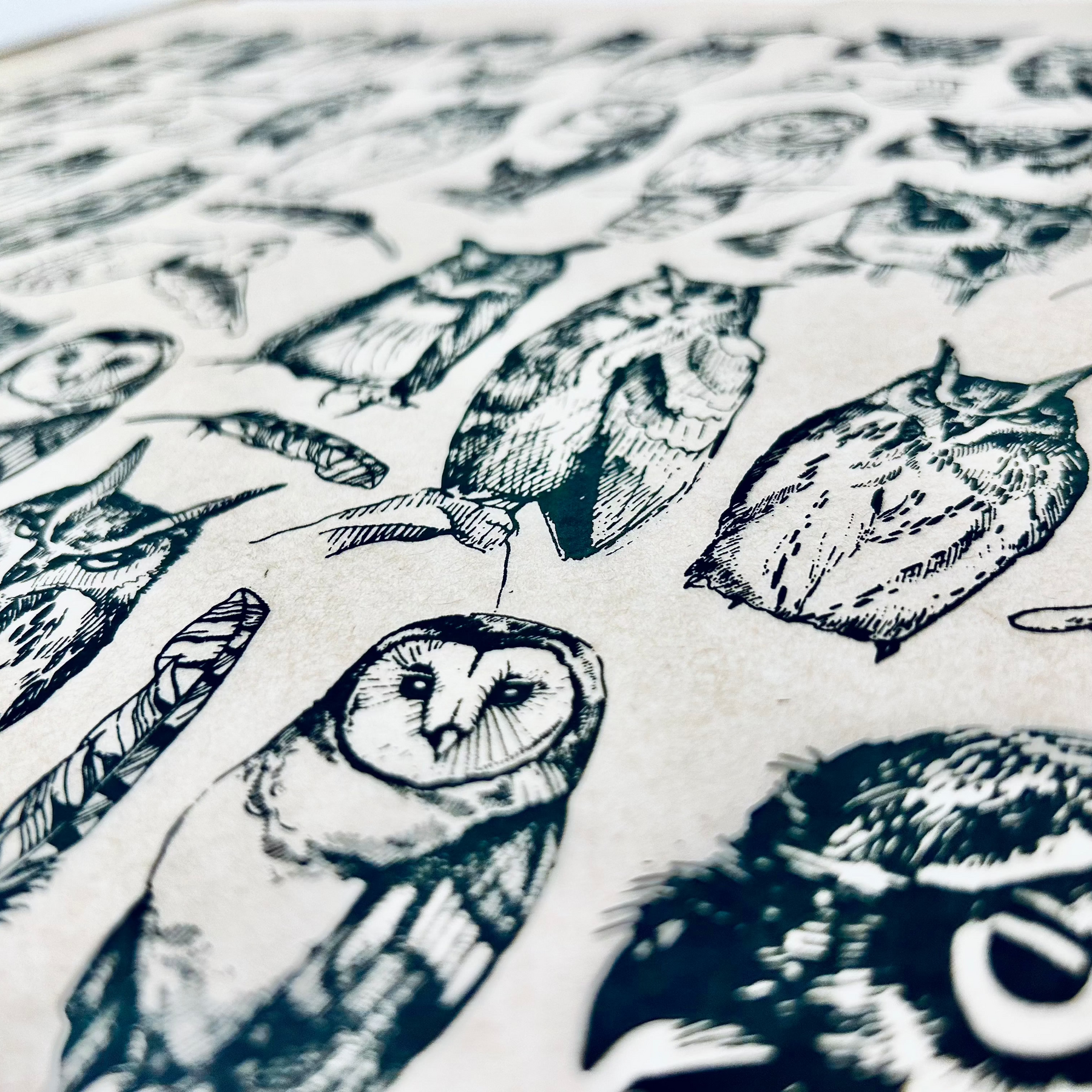 Owls - Underglaze Transfer Sheet