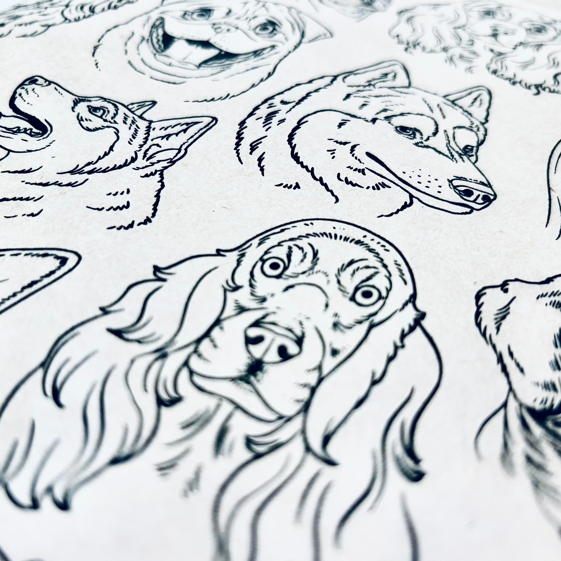 Dogs - Underglaze Transfer Sheet