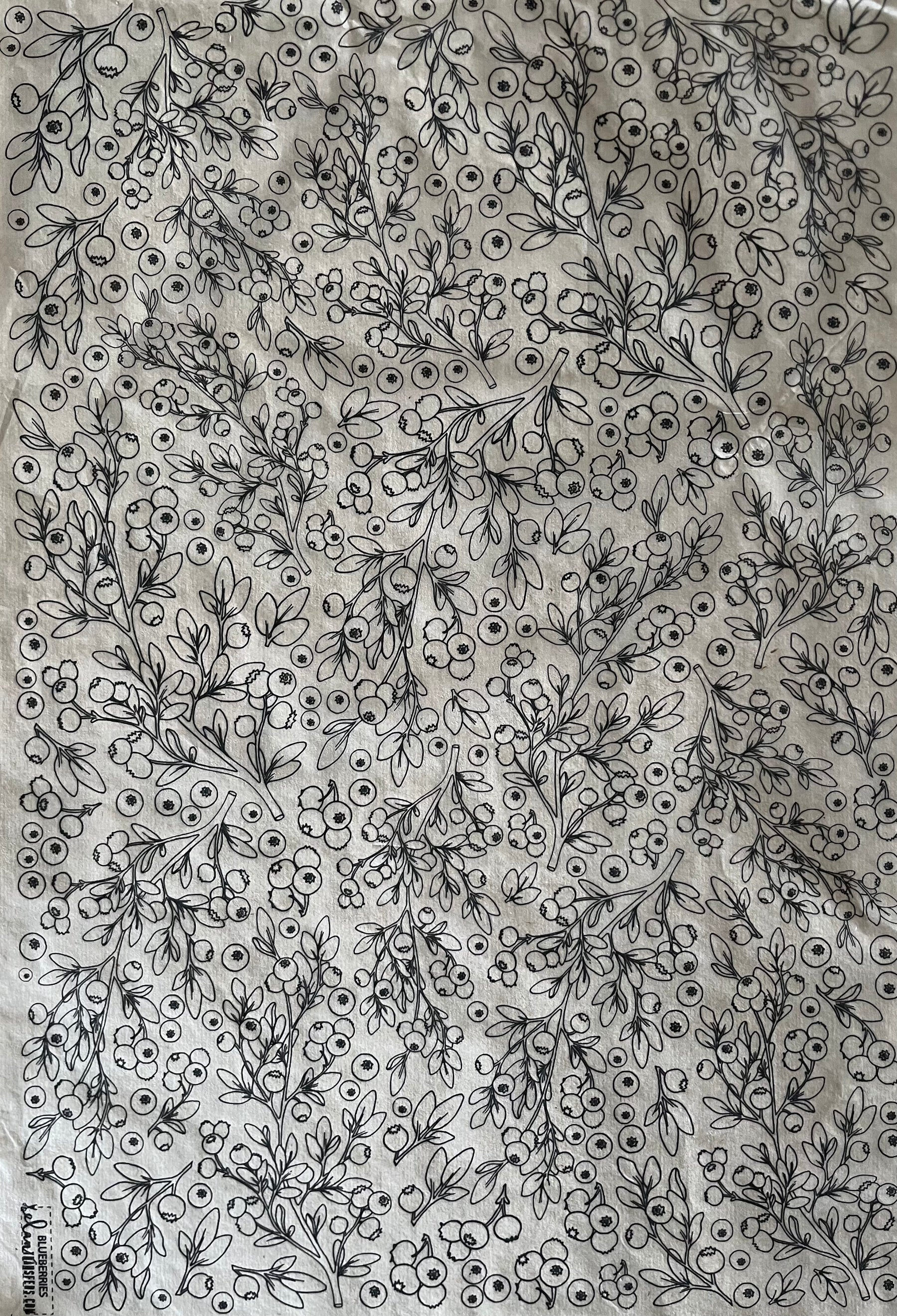 Blueberries - Underglaze Transfer Sheet