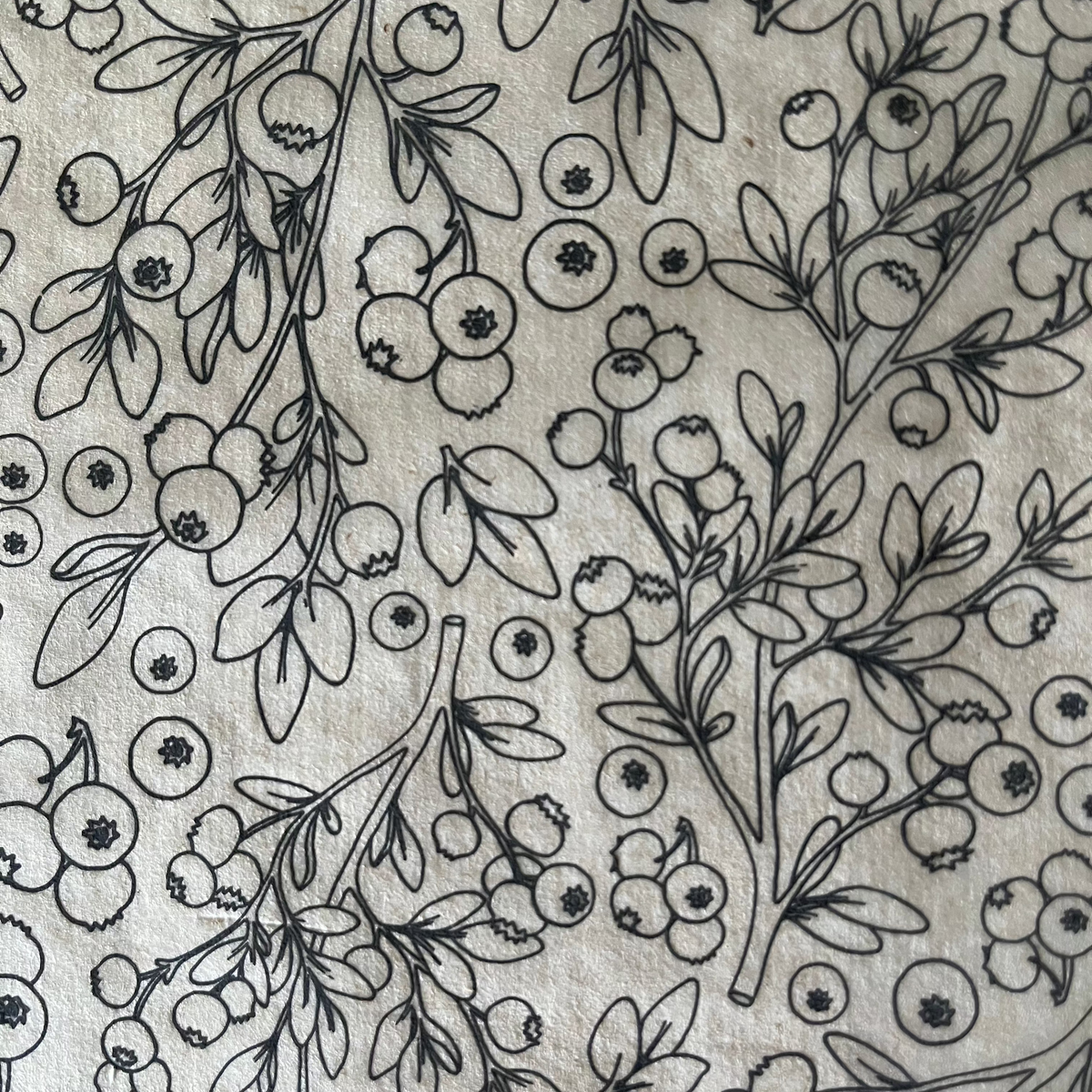 Blueberries - Underglaze Transfer Sheet