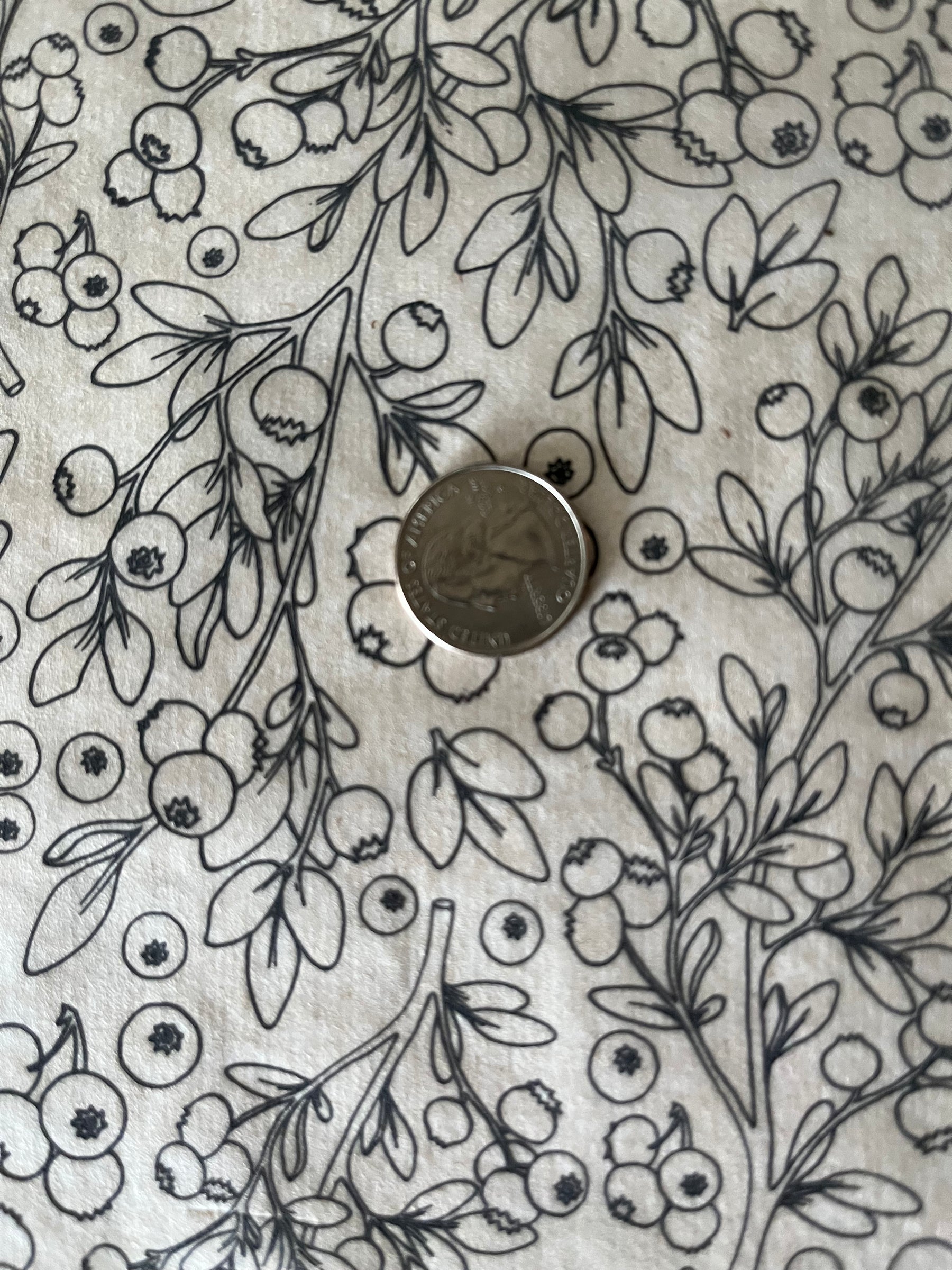 Blueberries - Underglaze Transfer Sheet