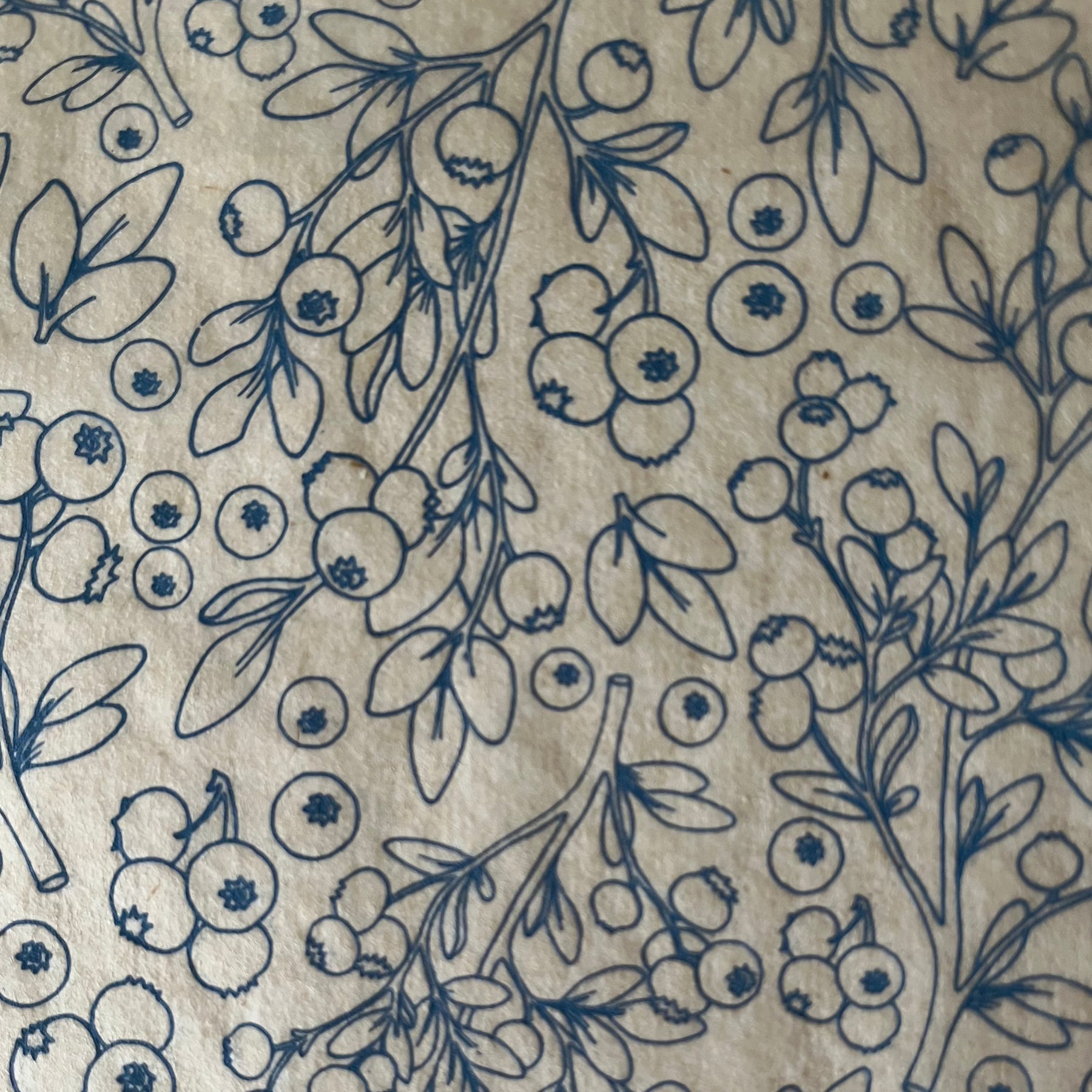 Blueberries - Underglaze Transfer Sheet