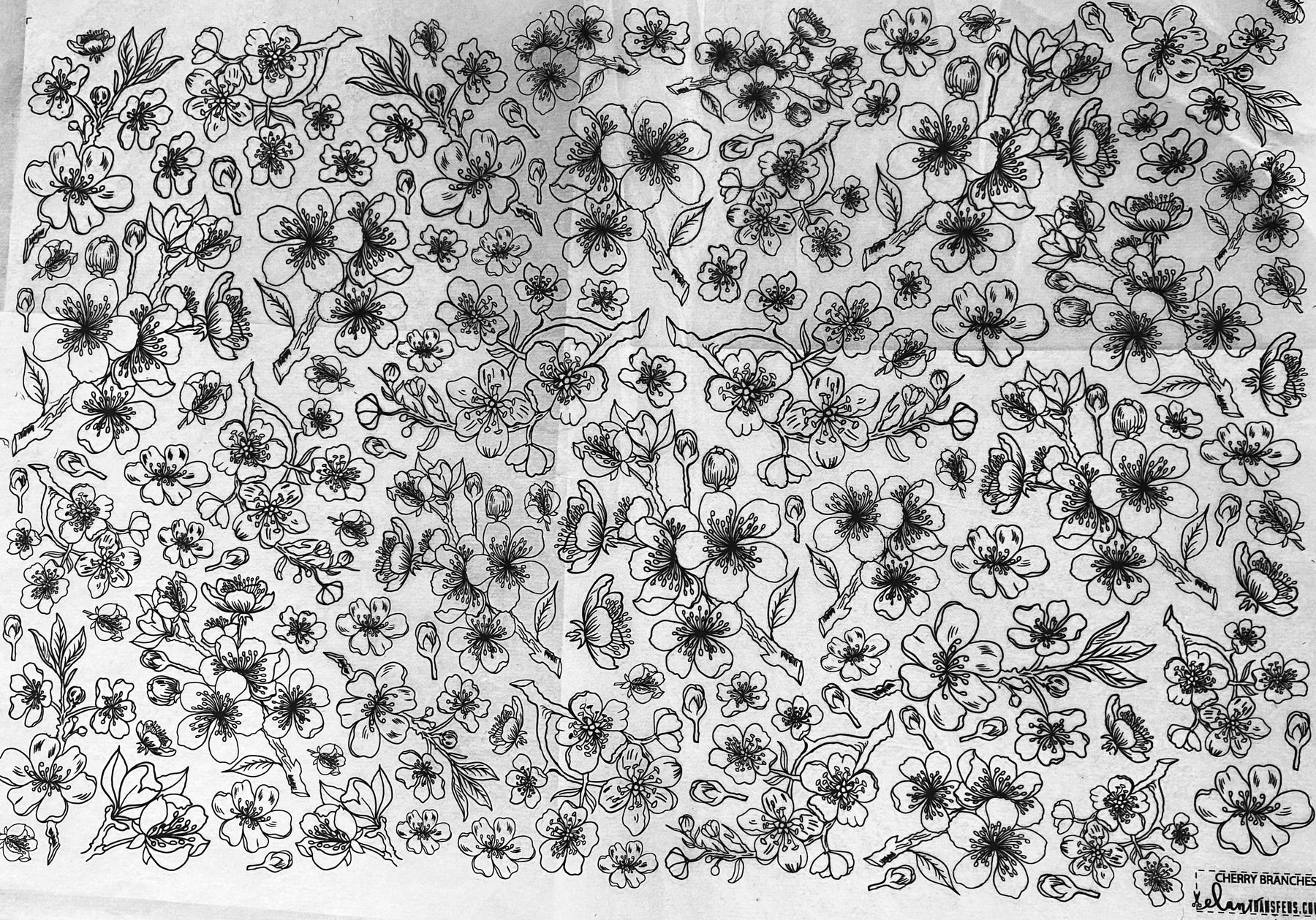 Cherry Branches - Underglaze Transfer Sheet