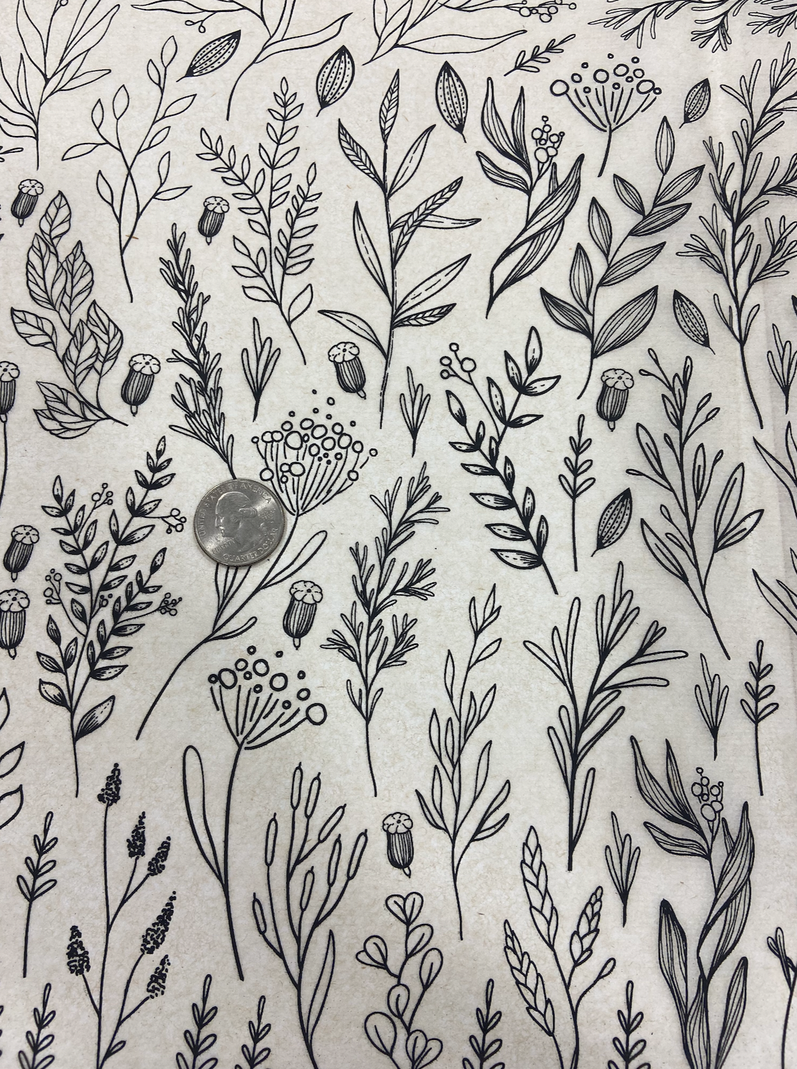 Branches - Underglaze Transfer Sheet