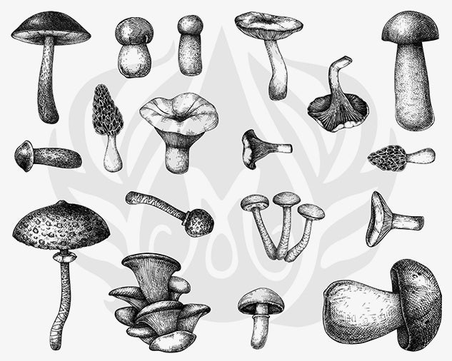 Designer Silkscreen Mushrooms
