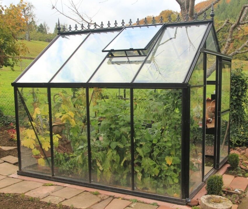 Junior Victorian Greenhouse