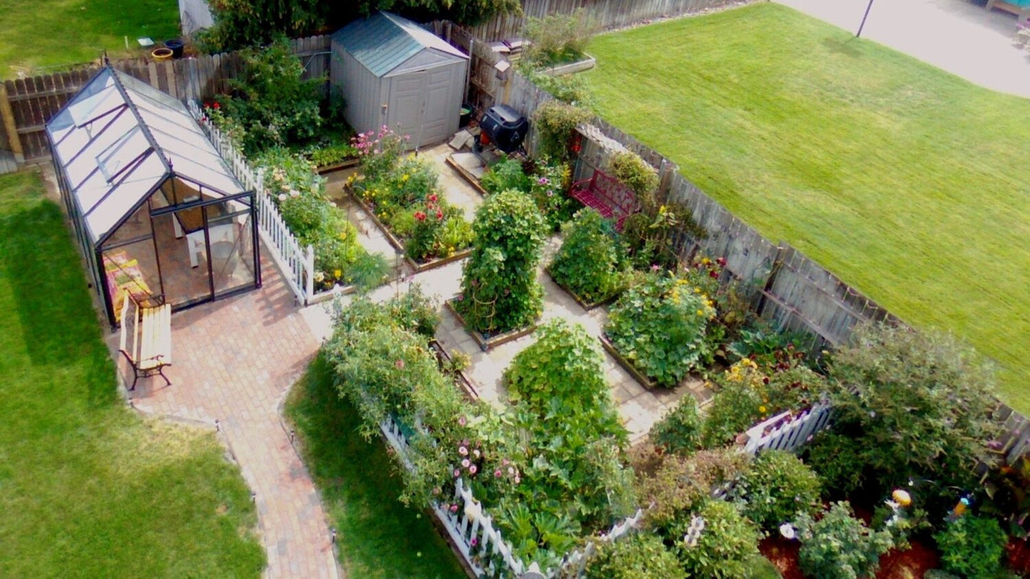 Junior Victorian Greenhouse