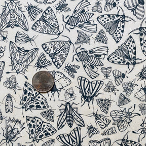 Moths - Underglaze Transfer Sheet