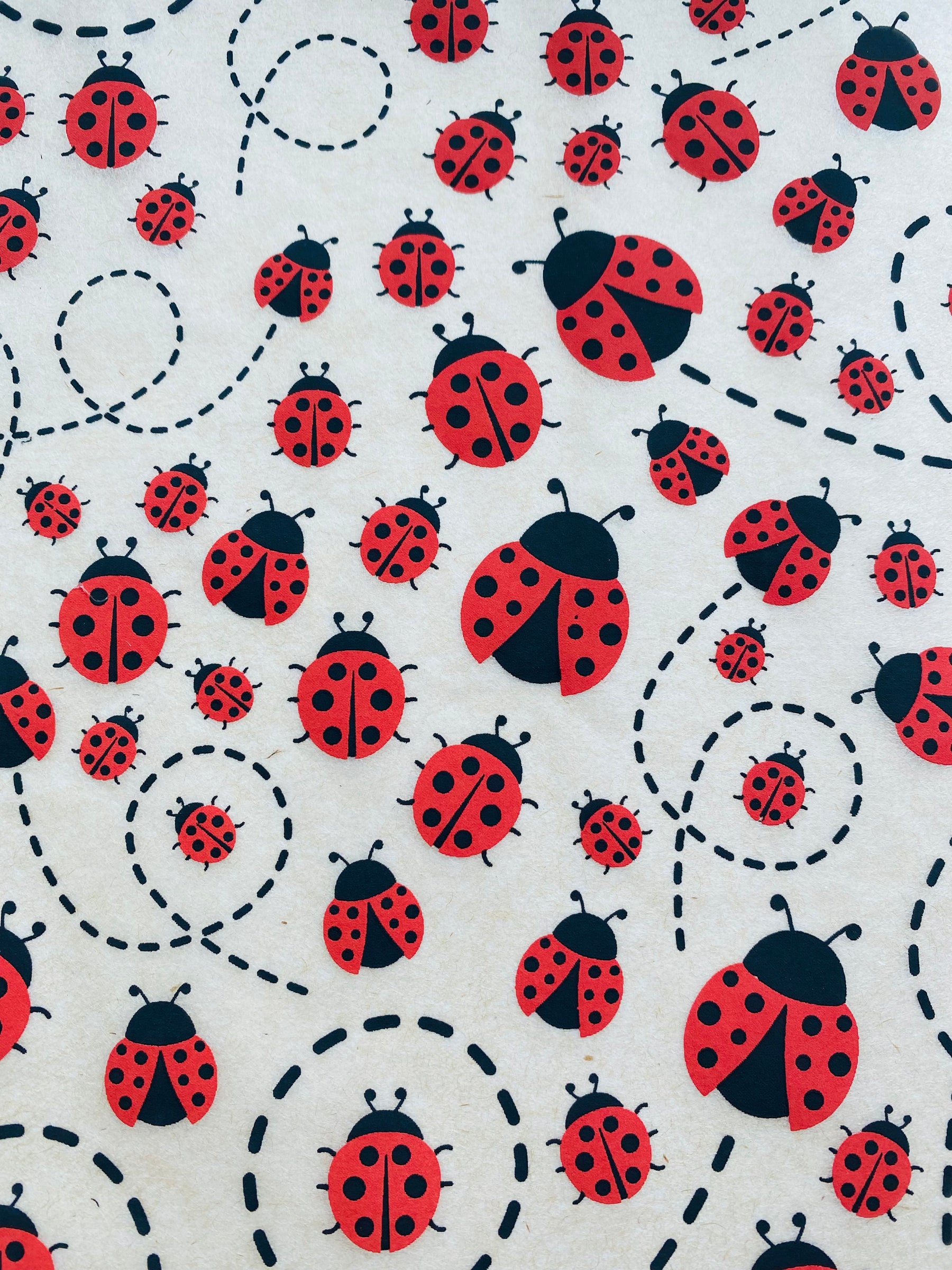 Lady Bugs - Underglaze Transfer Sheet