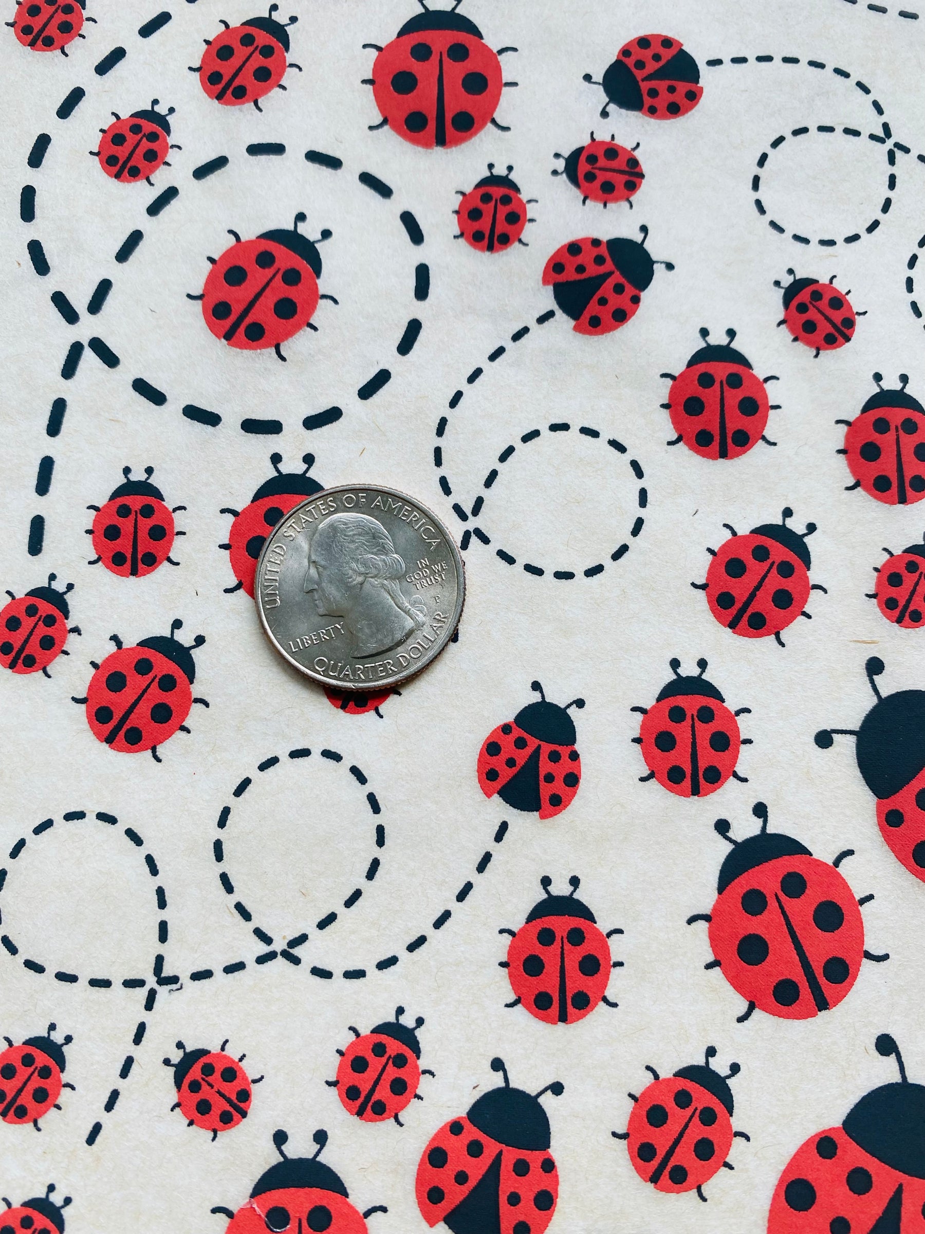 Lady Bugs - Underglaze Transfer Sheet