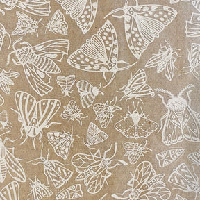 Moths - Underglaze Transfer Sheet