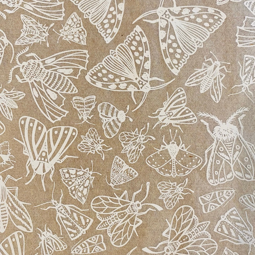 Moths - Underglaze Transfer Sheet