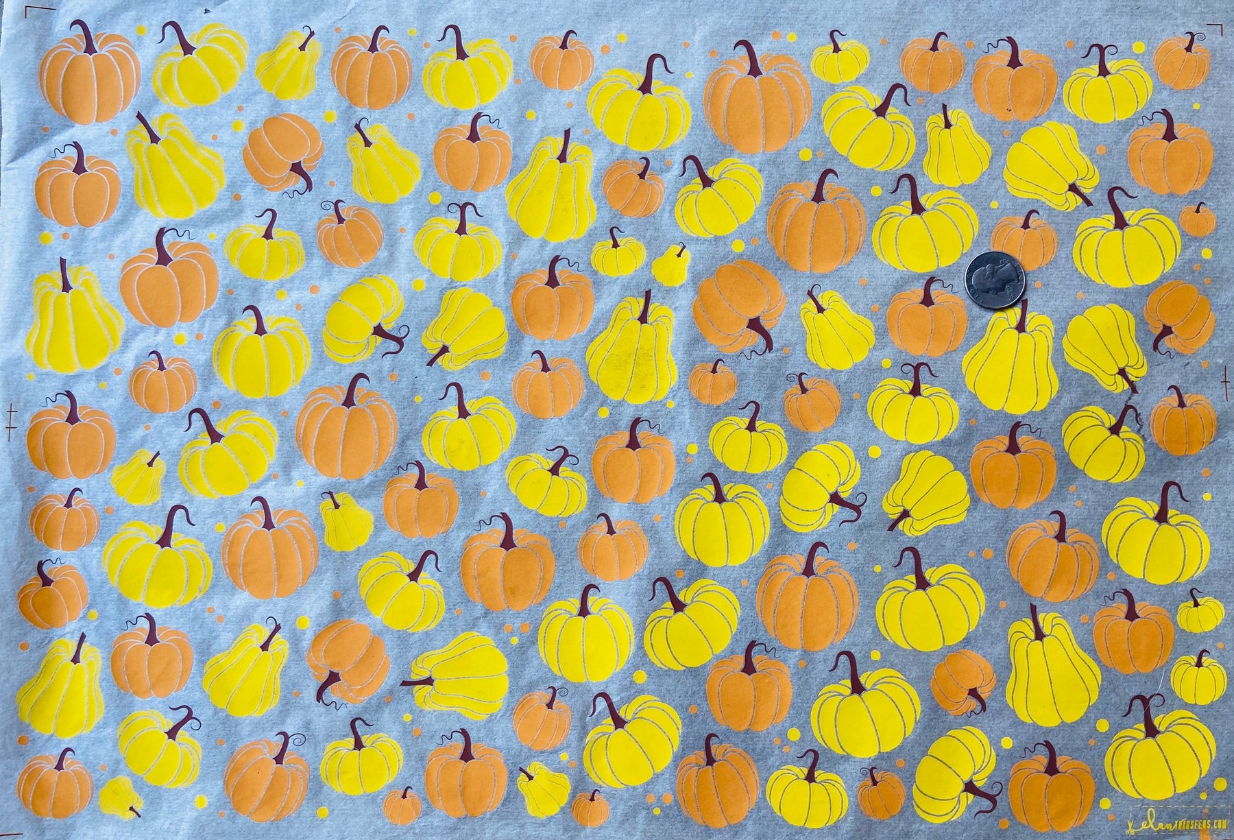 Pumpkins - Underglaze Transfer Sheet