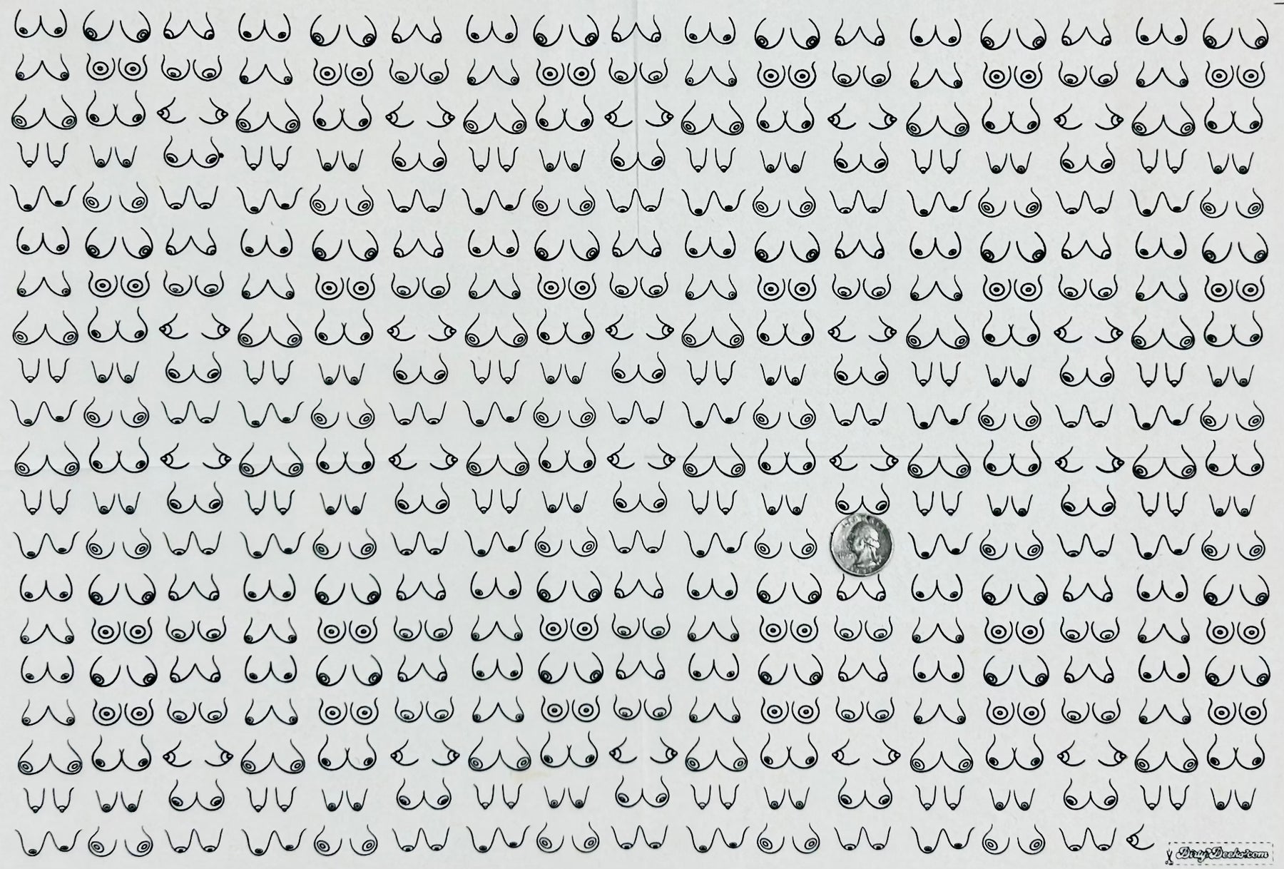 Boobies - Underglaze Transfer Sheet