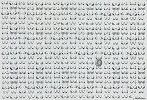 Boobies - Underglaze Transfer Sheet