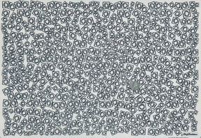 Condoms - Underglaze Transfer Sheet