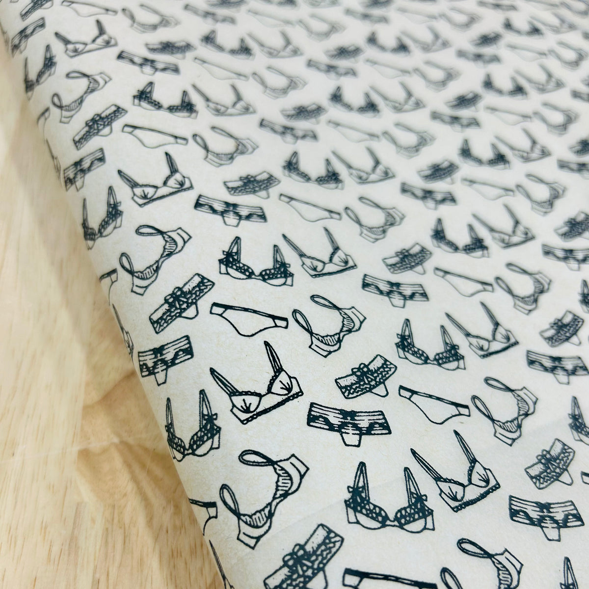 Bras N Panties - Underglaze Transfer Sheet