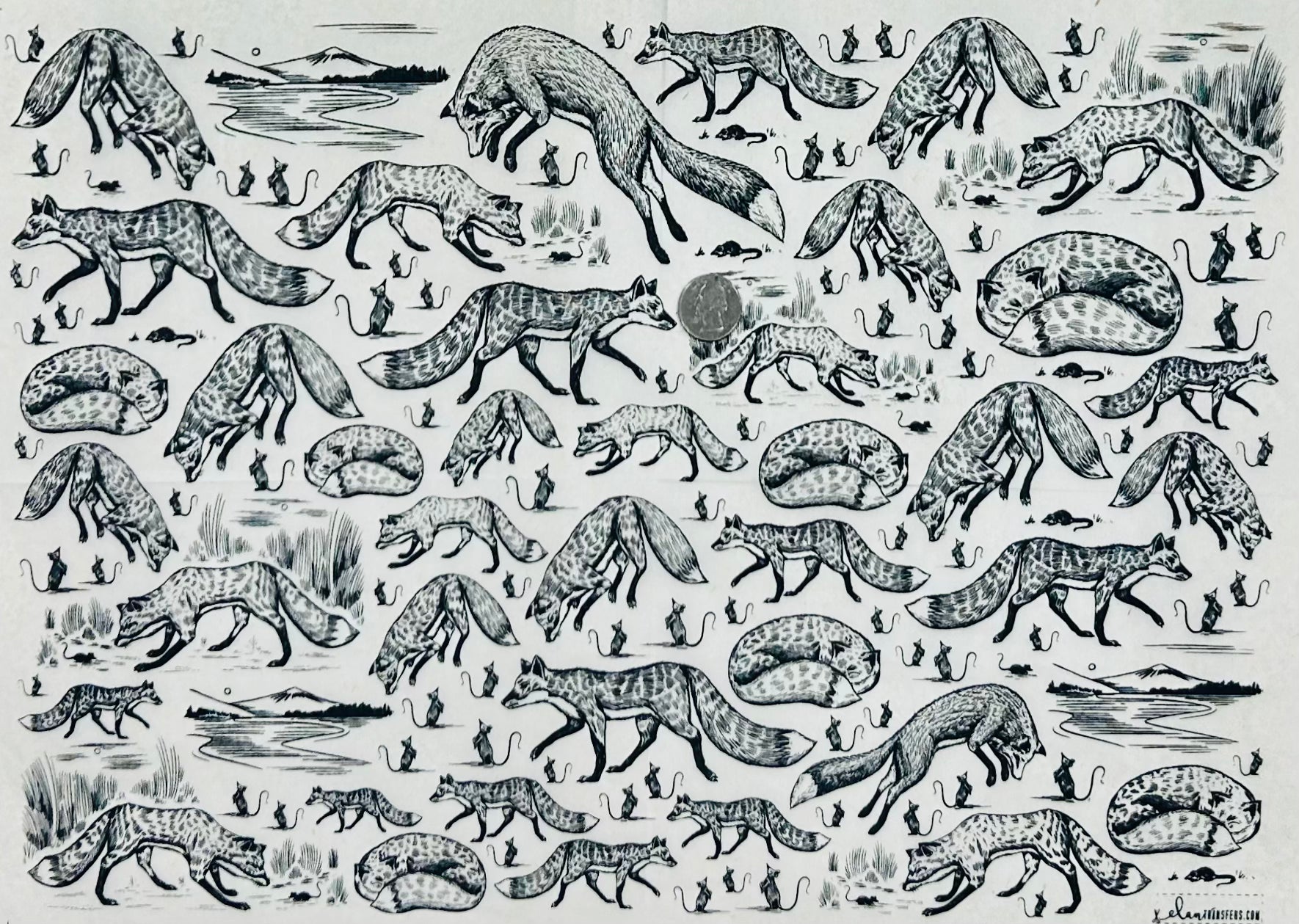 Foxy Loxy - Underglaze Transfer Sheet