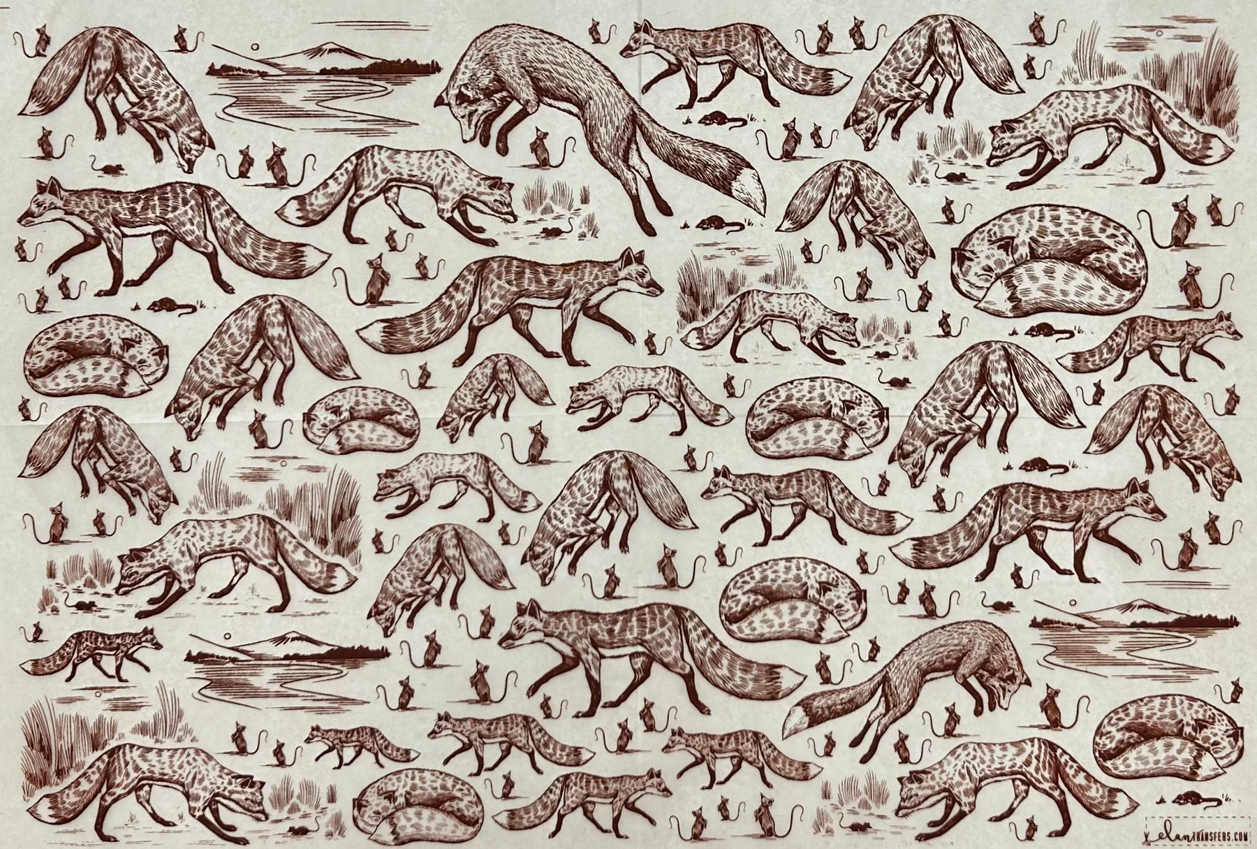 Foxy Loxy - Underglaze Transfer Sheet