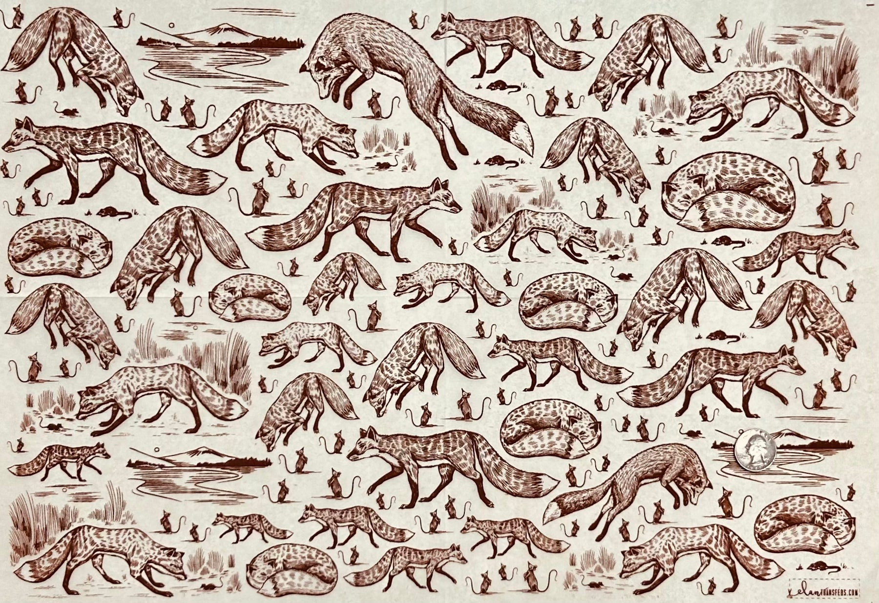 Foxy Loxy - Underglaze Transfer Sheet