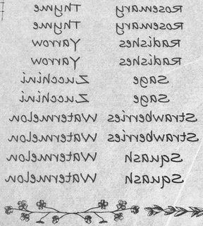 Herb / Veggie Names - Underglaze Transfer Sheet