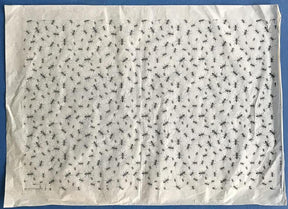 Ants - Underglaze Transfer Sheet