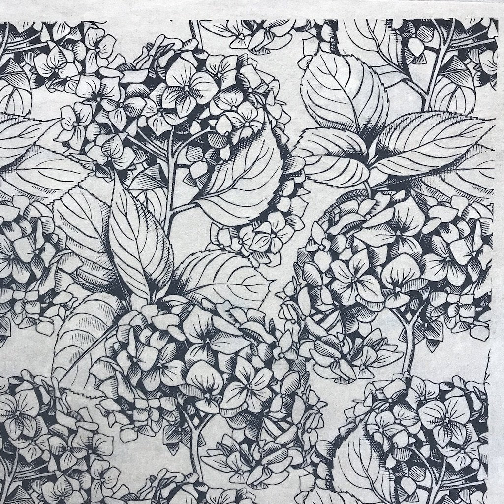 Hydrangea - Underglaze Transfer Sheet
