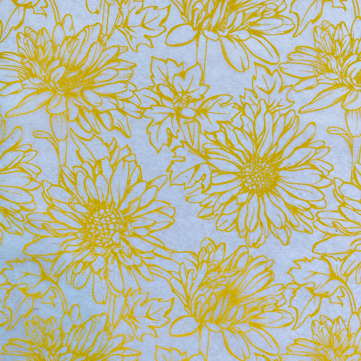 Daisy - Underglaze Transfer Sheet